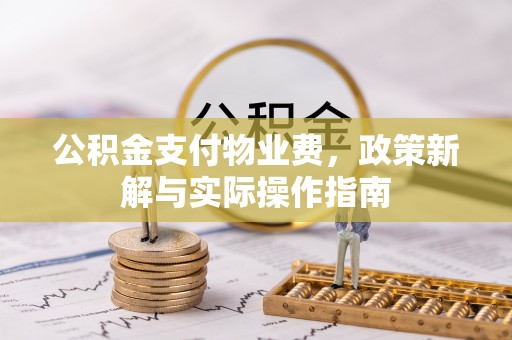 莲花公积金支付物业费，政策新解与实际操作指南
