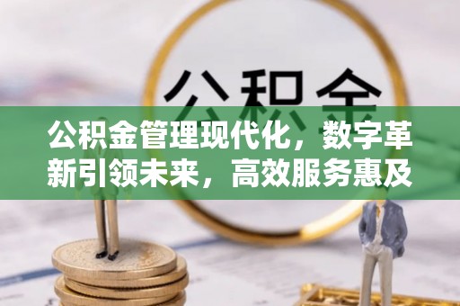 莲花公积金管理现代化，数字革新引领未来，高效服务惠及民生