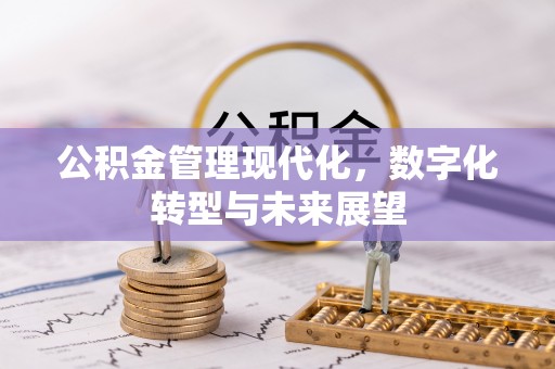 莲花公积金管理现代化，数字化转型与未来展望