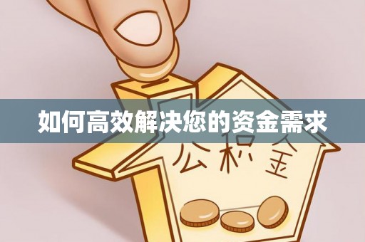 莲花如何高效解决您的资金需求