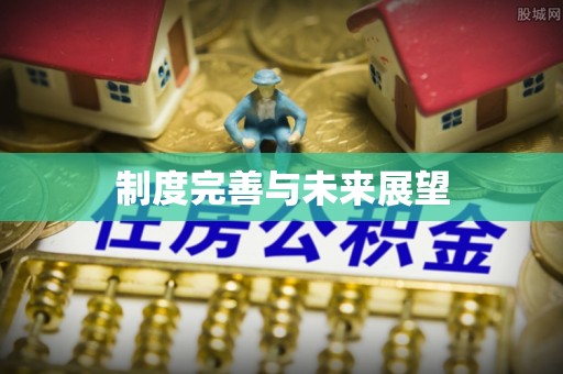 莲花制度完善与未来展望