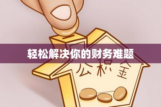 莲花轻松解决你的财务难题