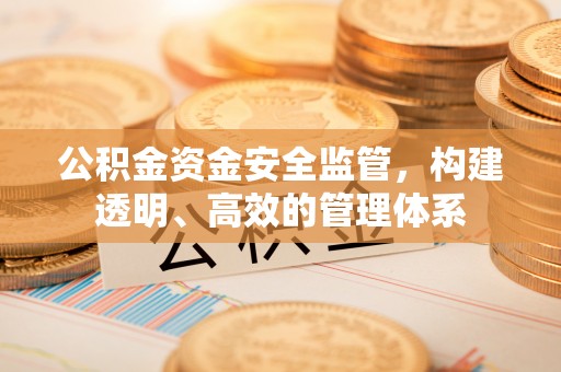 莲花公积金资金安全监管，构建透明、高效的管理体系
