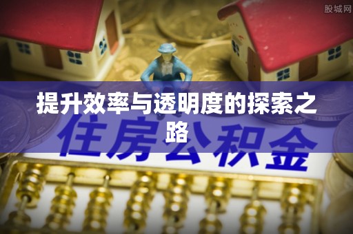 莲花提升效率与透明度的探索之路