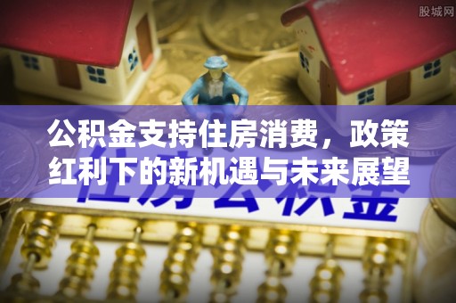 莲花公积金支持住房消费，政策红利下的新机遇与未来展望