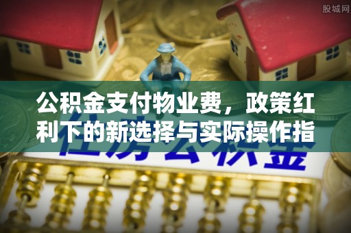 莲花公积金支付物业费，政策红利下的新选择与实际操作指南