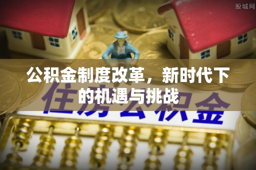 莲花公积金制度改革，新时代下的机遇与挑战