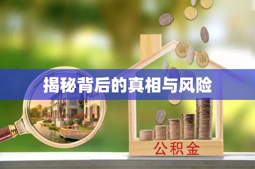 莲花揭秘背后的真相与风险