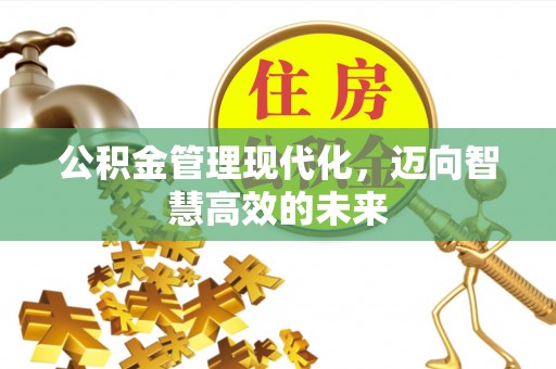 莲花公积金管理现代化，迈向智慧高效的未来