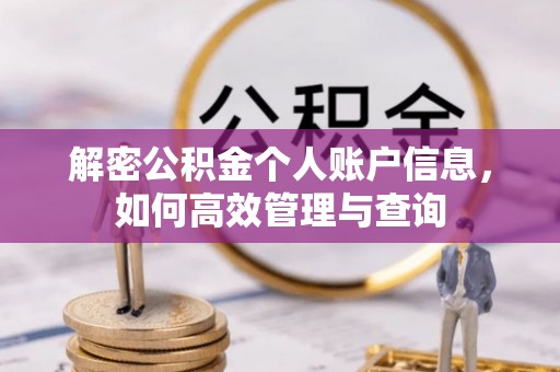 莲花解密公积金个人账户信息，如何高效管理与查询