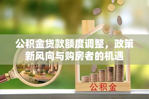 莲花公积金贷款额度调整，政策新风向与购房者的机遇