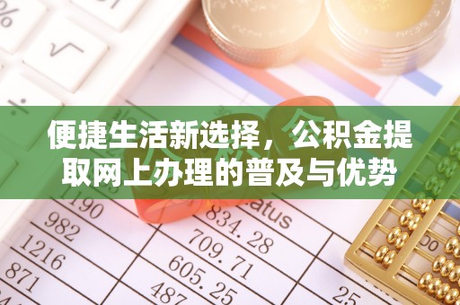 莲花便捷生活新选择，公积金提取网上办理的普及与优势