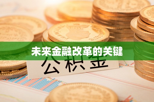 莲花未来金融改革的关键