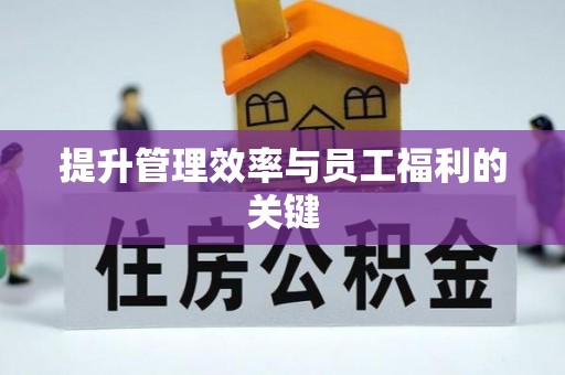 莲花提升管理效率与员工福利的关键