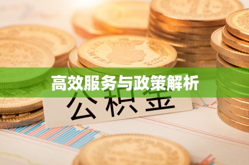 莲花高效服务与政策解析