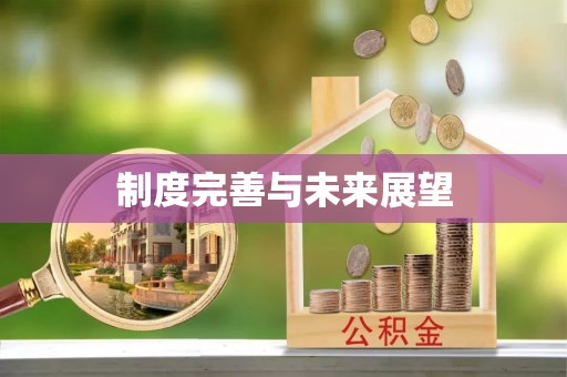 莲花制度完善与未来展望