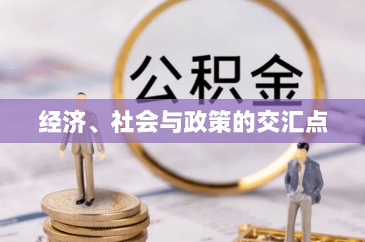 莲花经济、社会与政策的交汇点