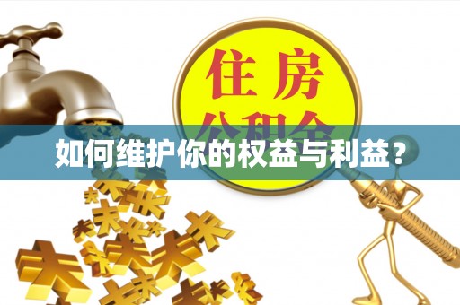 莲花如何维护你的权益与利益？