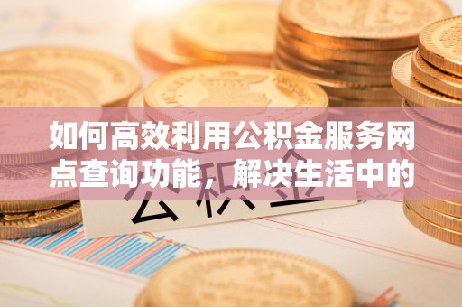 莲花如何高效利用公积金服务网点查询功能，解决生活中的资金难题
