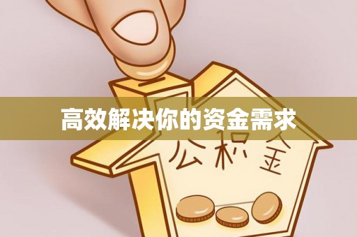 莲花高效解决你的资金需求
