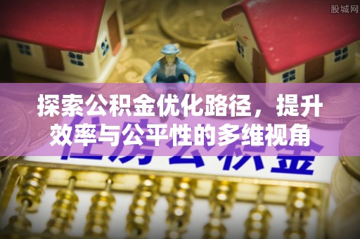 莲花探索公积金优化路径，提升效率与公平性的多维视角