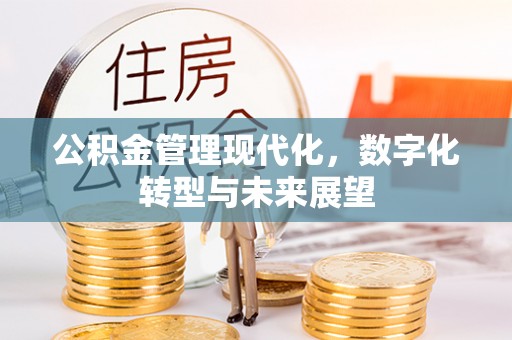 莲花公积金管理现代化，数字化转型与未来展望