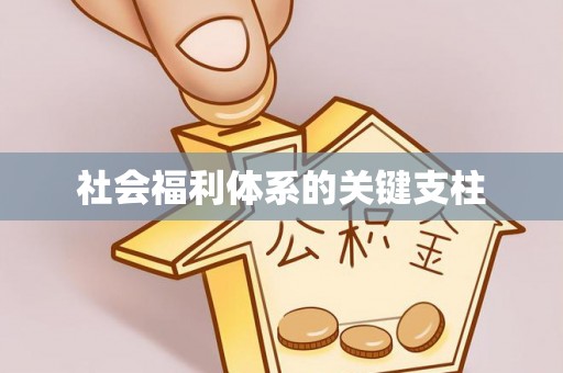 莲花社会福利体系的关键支柱