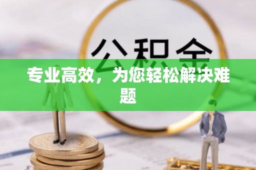 莲花专业高效，为您轻松解决难题