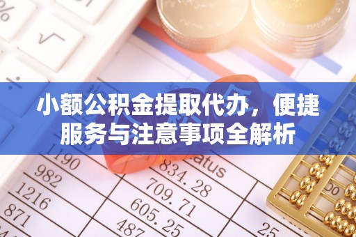 莲花小额公积金提取代办，便捷服务与注意事项全解析