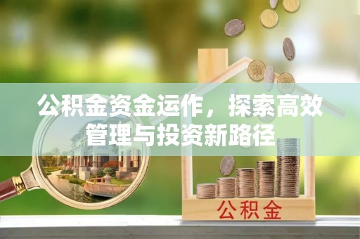 莲花公积金资金运作，探索高效管理与投资新路径