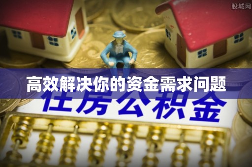 莲花高效解决你的资金需求问题