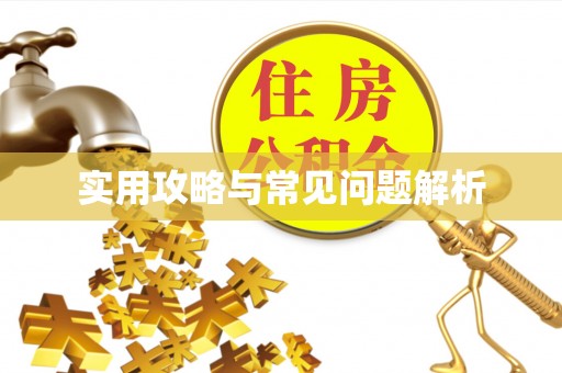 莲花实用攻略与常见问题解析
