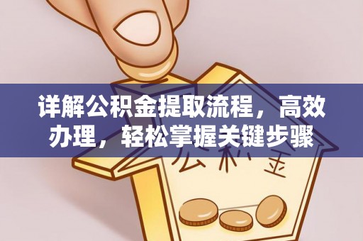 莲花详解公积金提取流程，高效办理，轻松掌握关键步骤