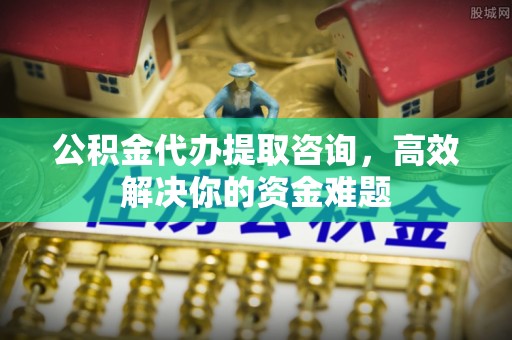 莲花公积金代办提取咨询，高效解决你的资金难题