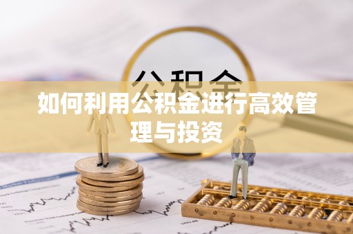 莲花如何利用公积金进行高效管理与投资