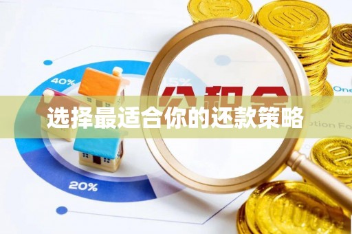 莲花选择最适合你的还款策略