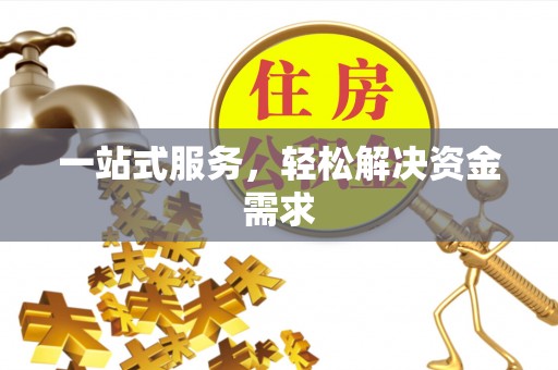 莲花一站式服务，轻松解决资金需求